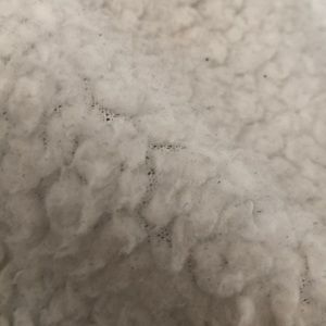 Meet your Posher, Richard